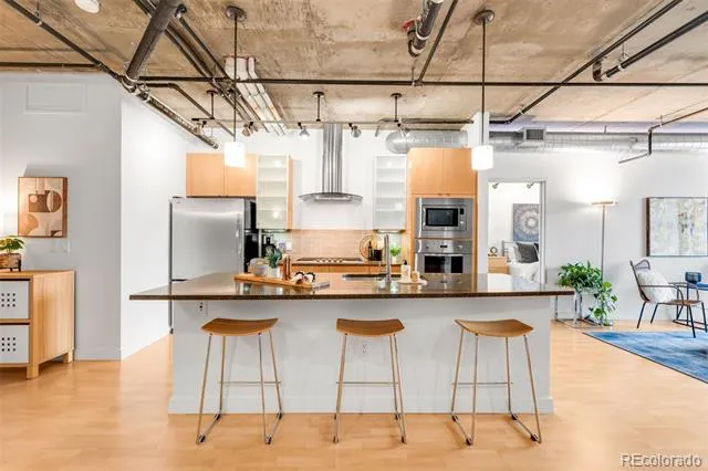 2229 Blake Street #501 Denver, CO 80205