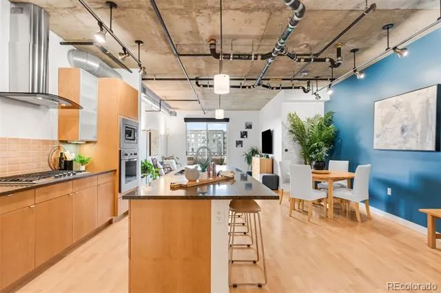 2229 Blake Street #501 Denver, CO 80205