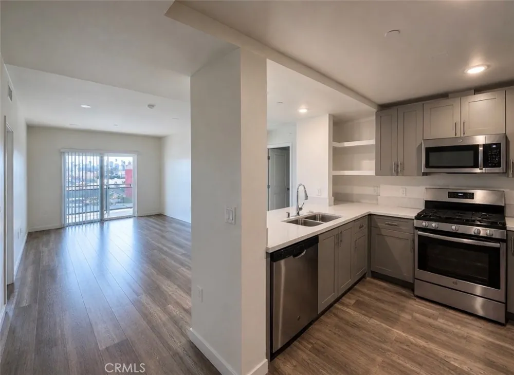 1025 S Berendo Street #511 Los Angeles, CA 90006