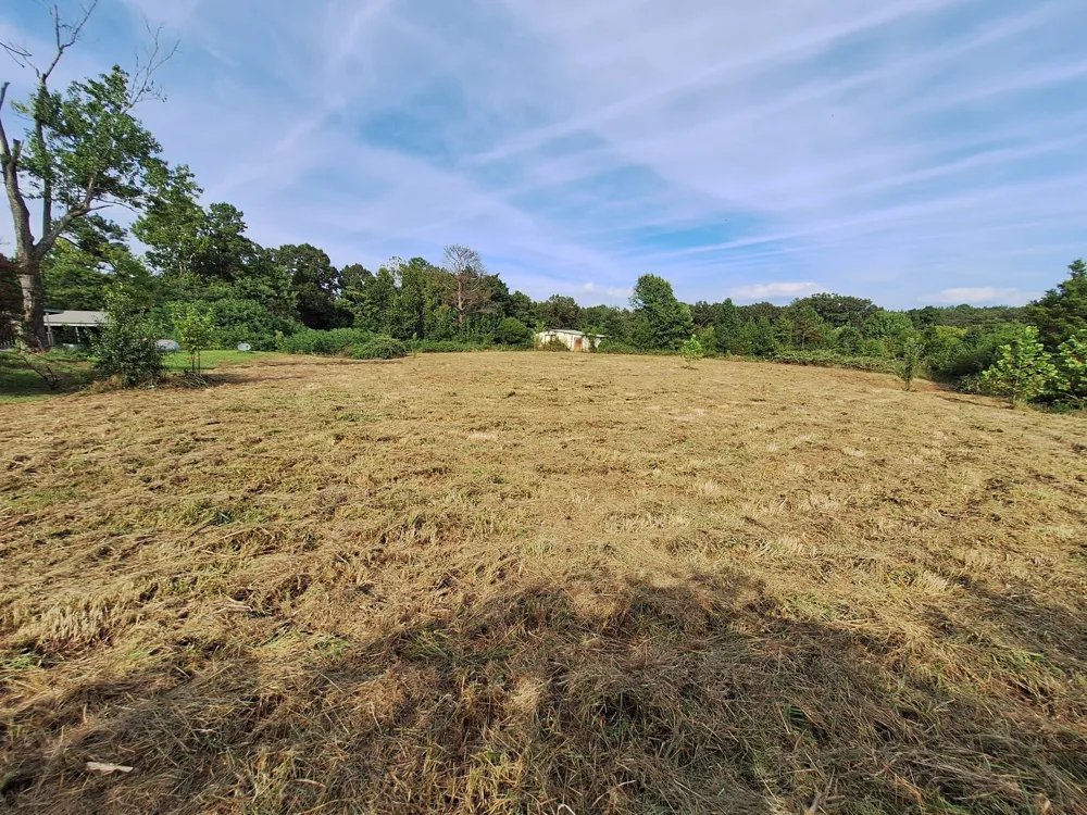 25250 Hwy 114 Bruceton, TN 38317