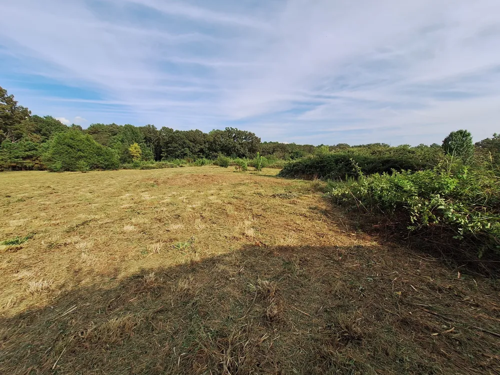 25250 Hwy 114 Bruceton, TN 38317