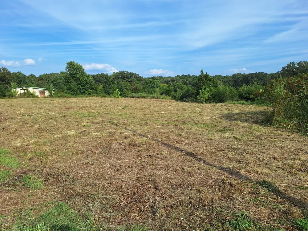 25250 Hwy 114 Bruceton, TN 38317