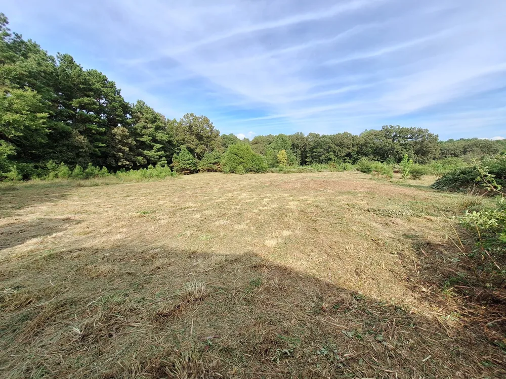 25250 Hwy 114 Bruceton, TN 38317