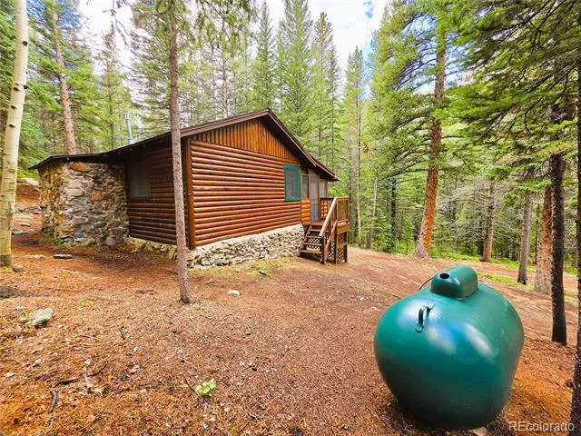 872 Hefferman Gulch Road Idaho Springs, CO 80452