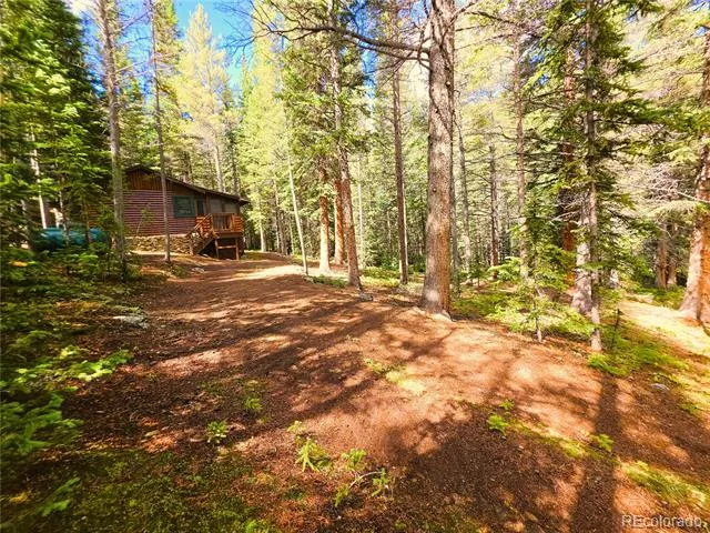 872 Hefferman Gulch Road Idaho Springs, CO 80452