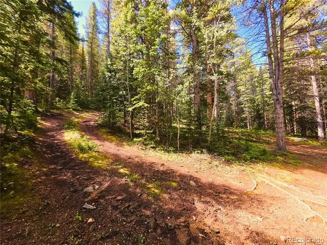 872 Hefferman Gulch Road Idaho Springs, CO 80452