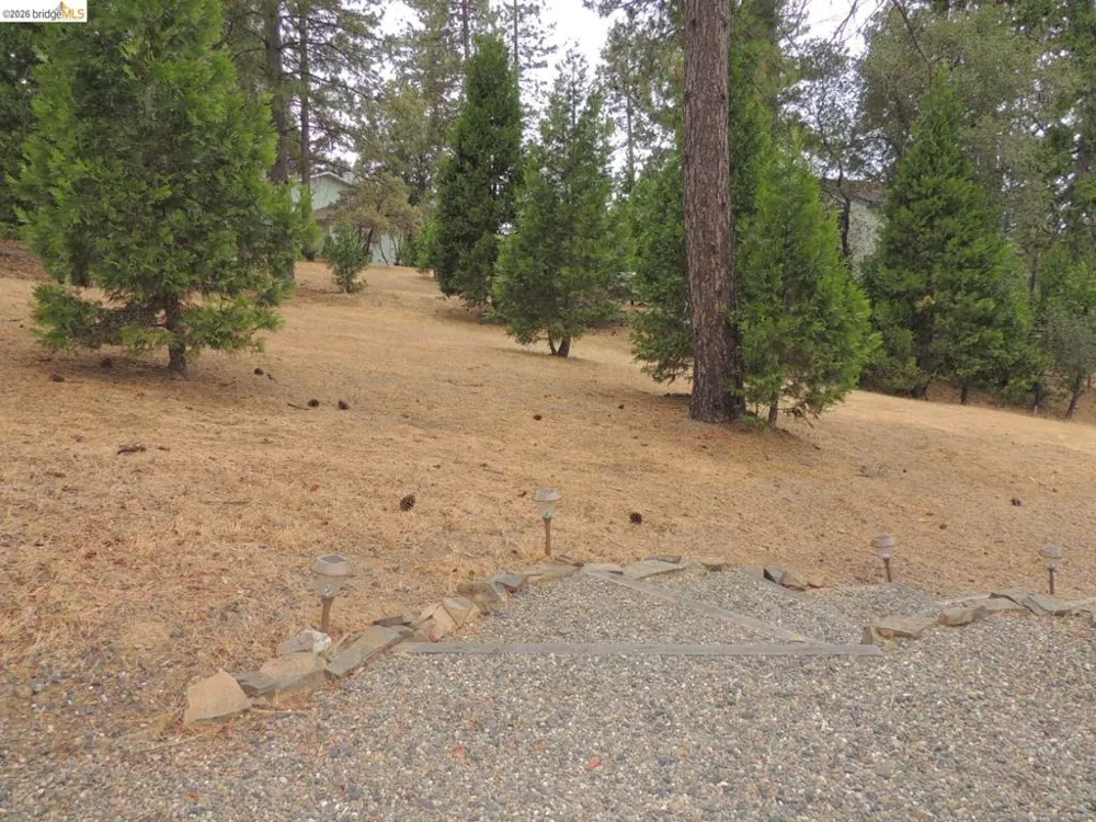 19933 Pine Mountain Dr. Groveland, CA 95321