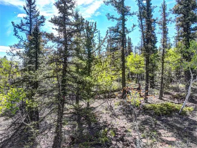 820 Overland Circle Jefferson, CO 80456