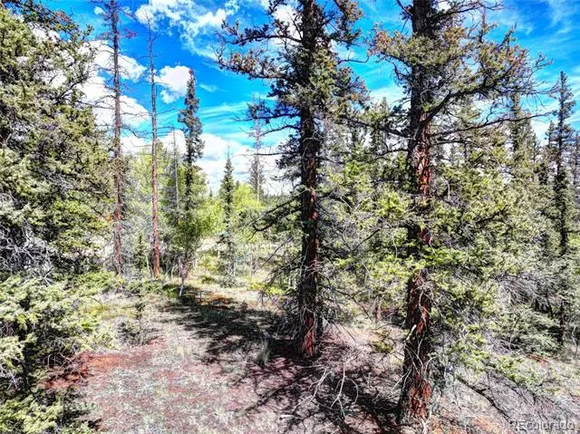 820 Overland Circle Jefferson, CO 80456