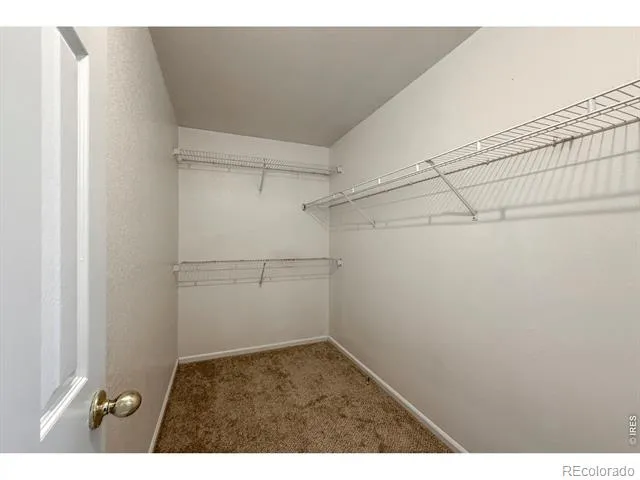 3513 Gunbarrel Court Evans, CO 80620