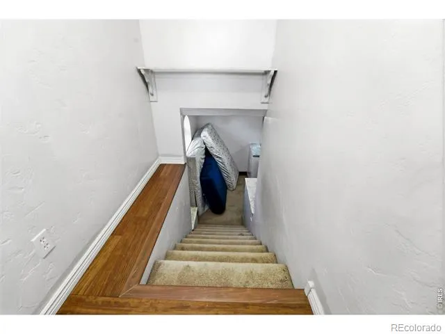 4322 W 22nd Street Greeley, CO 80634