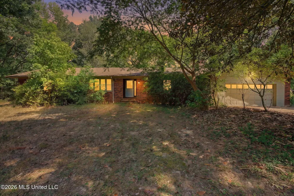 3206 Fogg Road Nesbit, MS 38651