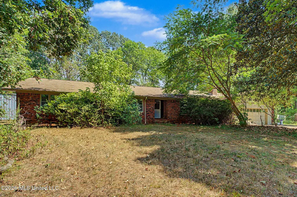 3206 Fogg Road Nesbit, MS 38651