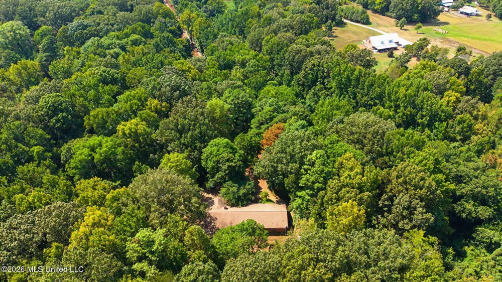 3206 Fogg Road Nesbit, MS 38651