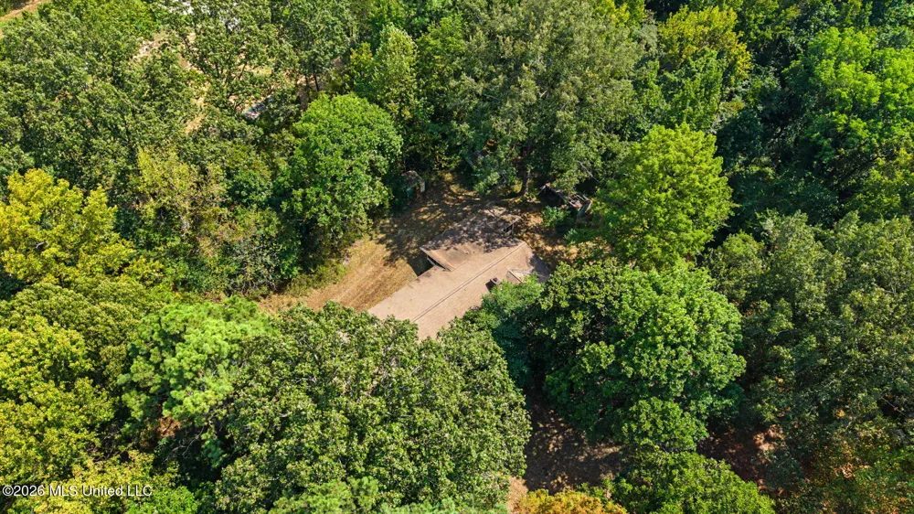 3206 Fogg Road Nesbit, MS 38651