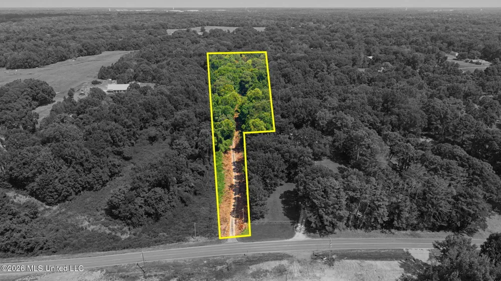 3206 Fogg Road Nesbit, MS 38651