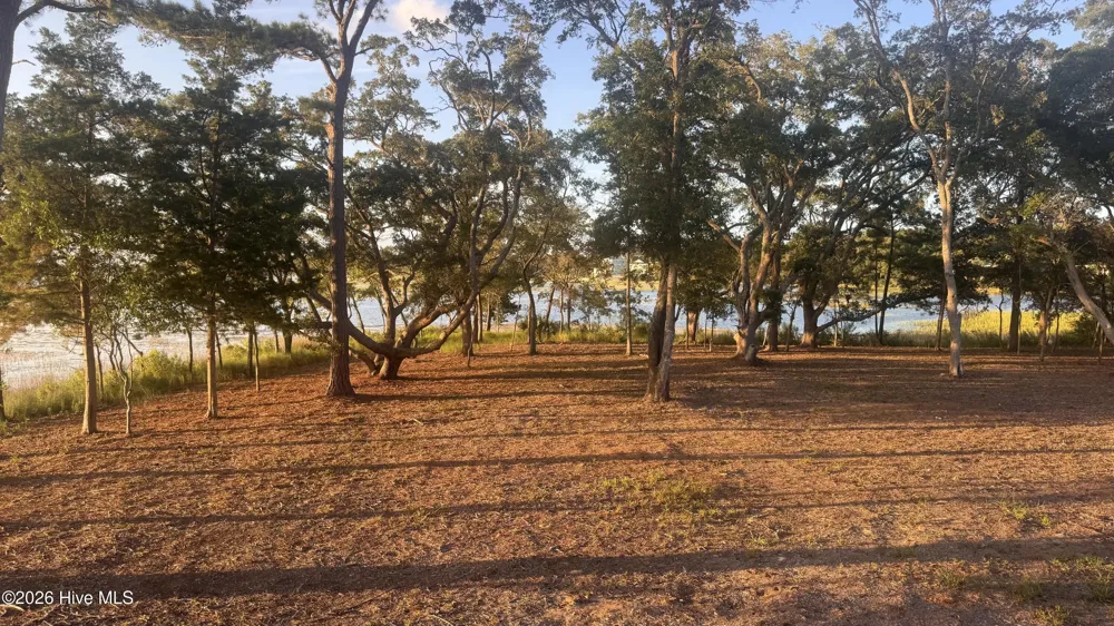 3810 Windy Point Road SW Supply, NC 28462