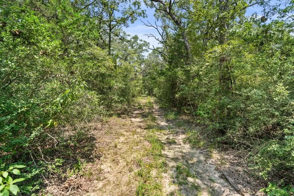 Lcr 732 Thornton, TX 76687
