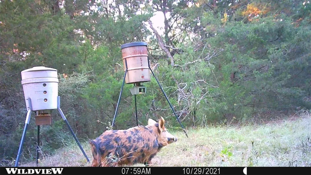 Lcr 732 Thornton, TX 76687