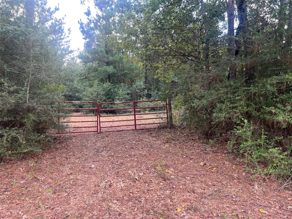 7926 E Fm 942 Livingston, TX 77351
