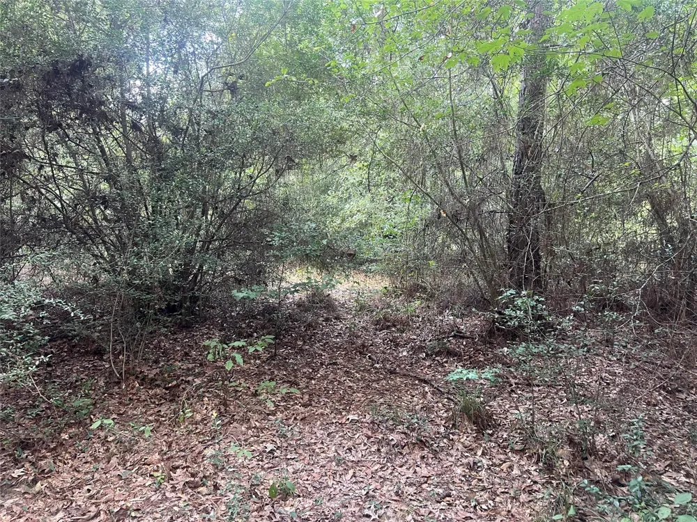 7926 E Fm 942 Livingston, TX 77351