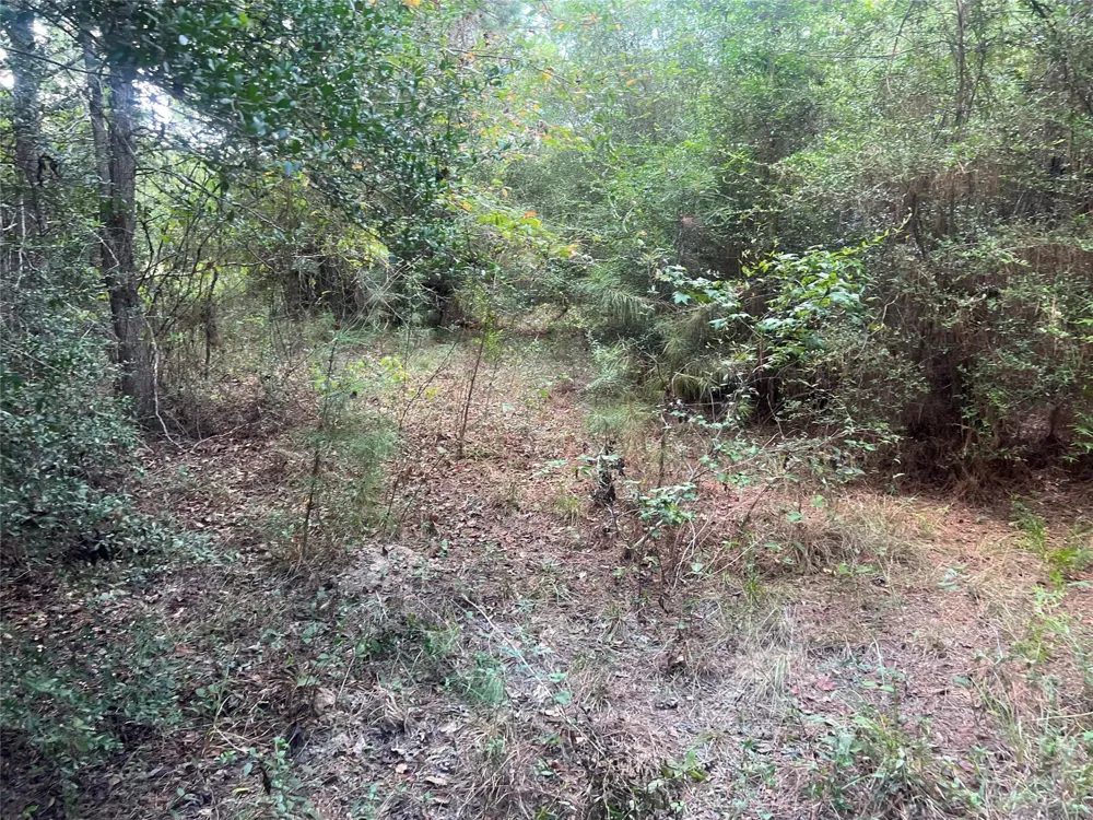 7926 E Fm 942 Livingston, TX 77351