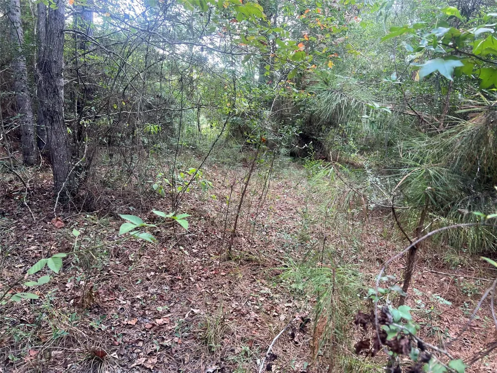 7926 E Fm 942 Livingston, TX 77351