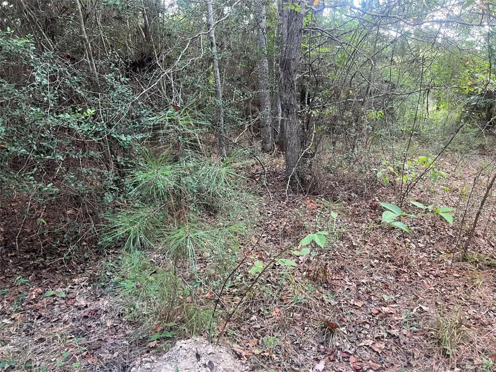 7926 E Fm 942 Livingston, TX 77351