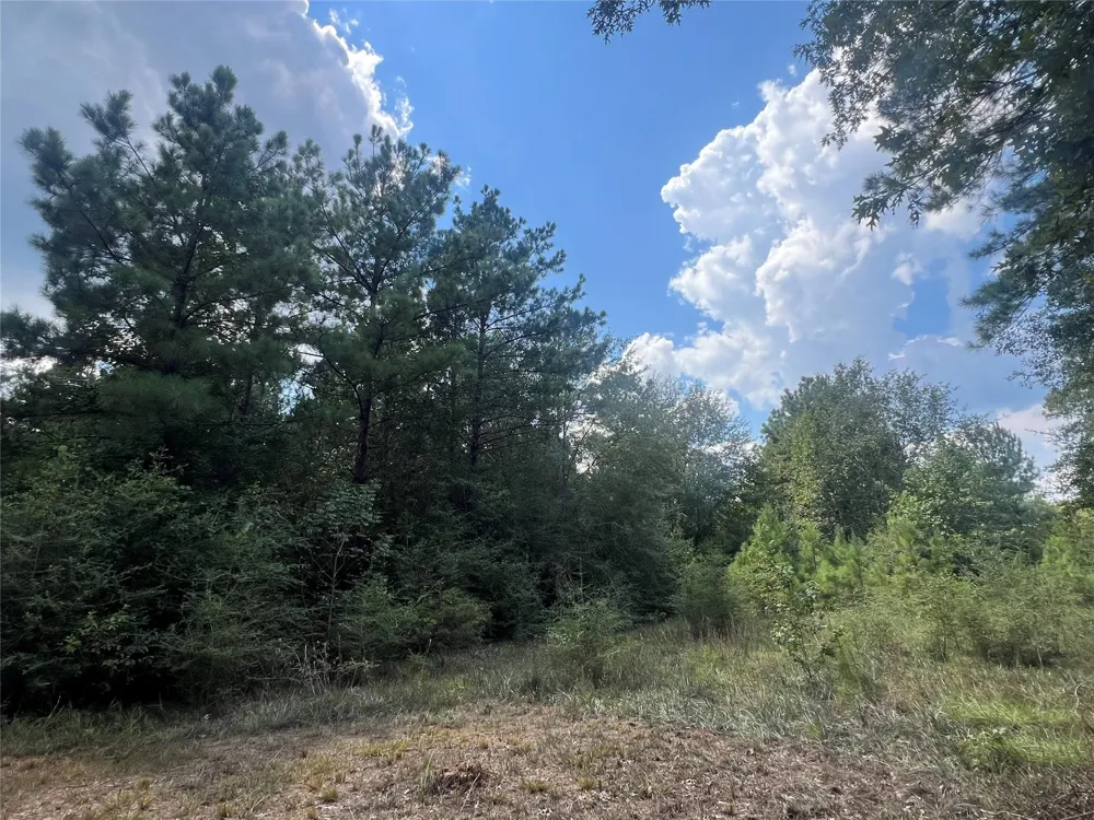 7926 E Fm 942 Livingston, TX 77351