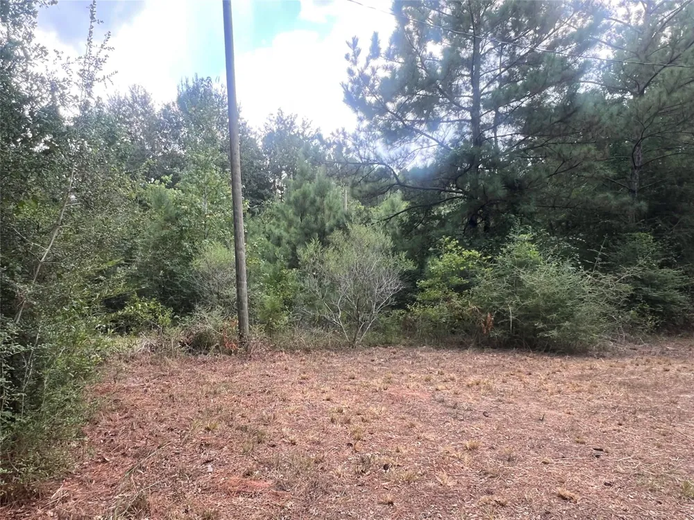 7926 E Fm 942 Livingston, TX 77351