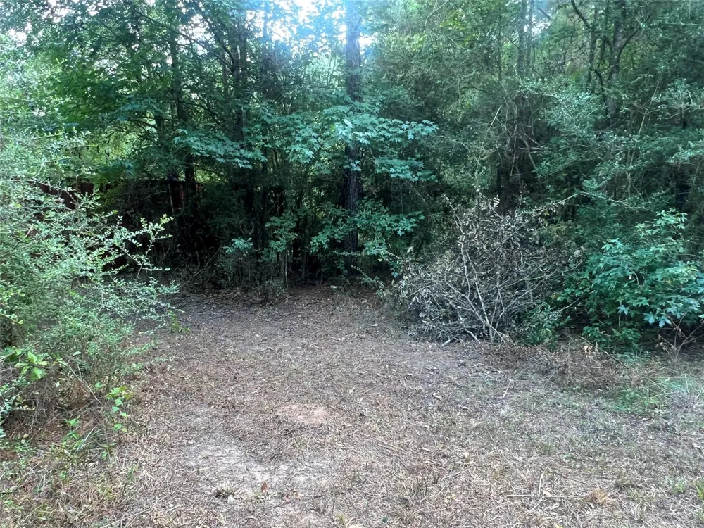 7926 E Fm 942 Livingston, TX 77351