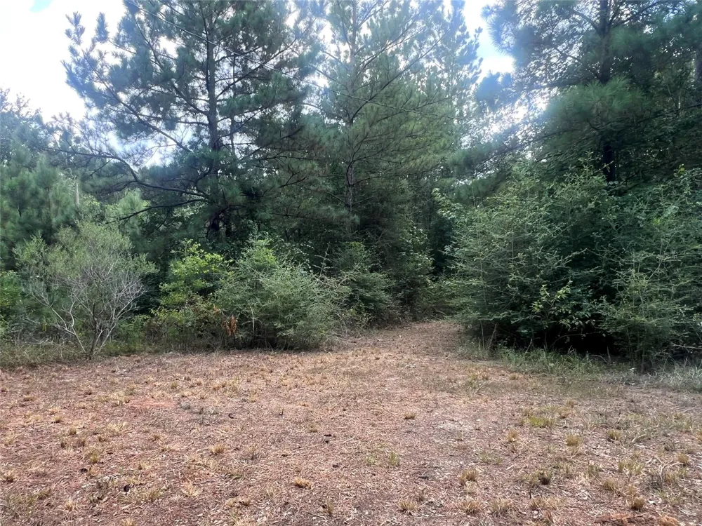 7926 E Fm 942 Livingston, TX 77351