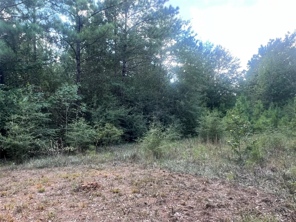 7926 E Fm 942 Livingston, TX 77351