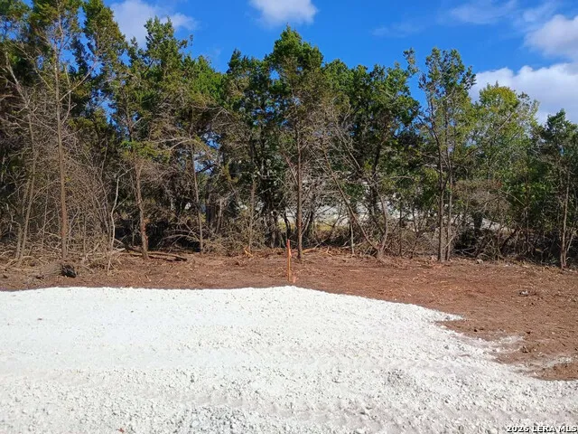 224 FREEDOM ST Fischer, TX 78623