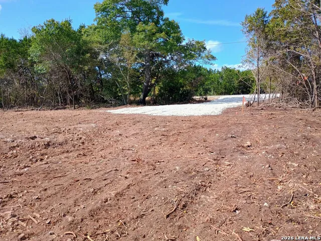 224 FREEDOM ST Fischer, TX 78623