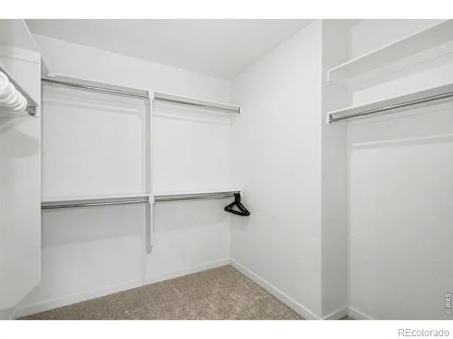 2124 Glean Court Windsor, CO 80550