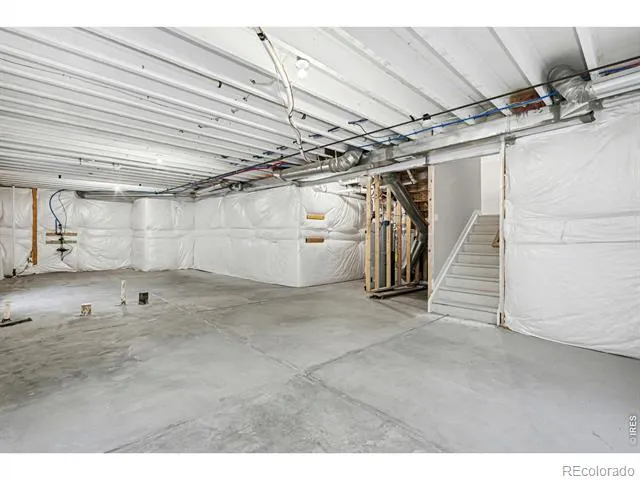 2124 Glean Court Windsor, CO 80550