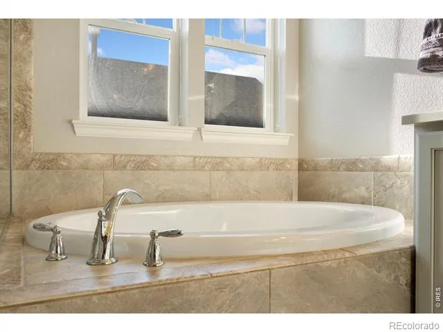 352 Baja Drive Windsor, CO 80550
