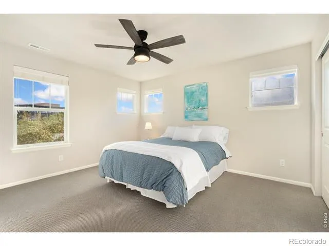 352 Baja Drive Windsor, CO 80550