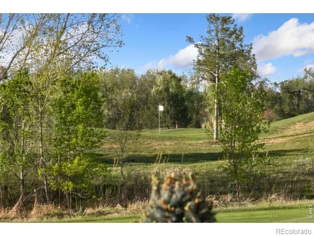 352 Baja Drive Windsor, CO 80550