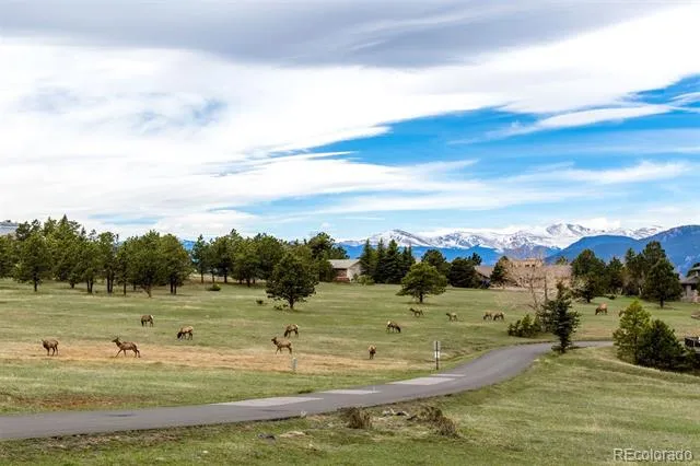 1551 Genesee Ridge Road Golden, CO 80401