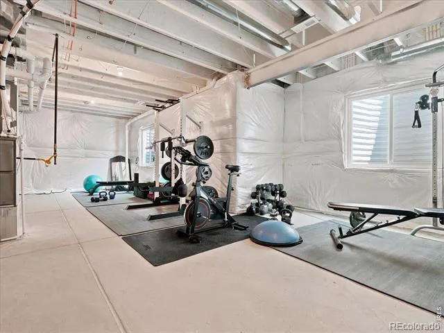 5564 Fleur De Lis Lane Timnath, CO 80547