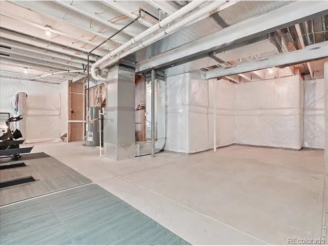 5564 Fleur De Lis Lane Timnath, CO 80547