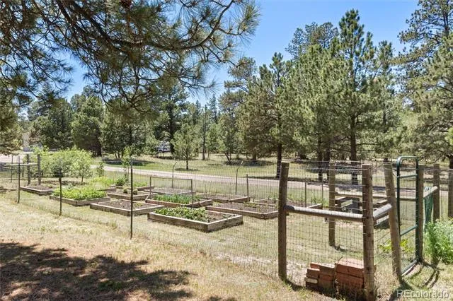 35925 Whispering Pine Court Elizabeth, CO 80107