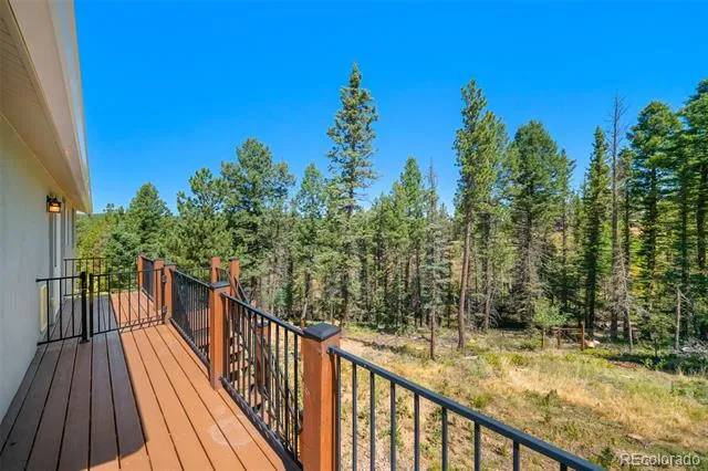 2775 Pathfinder Road Florissant, CO 80816