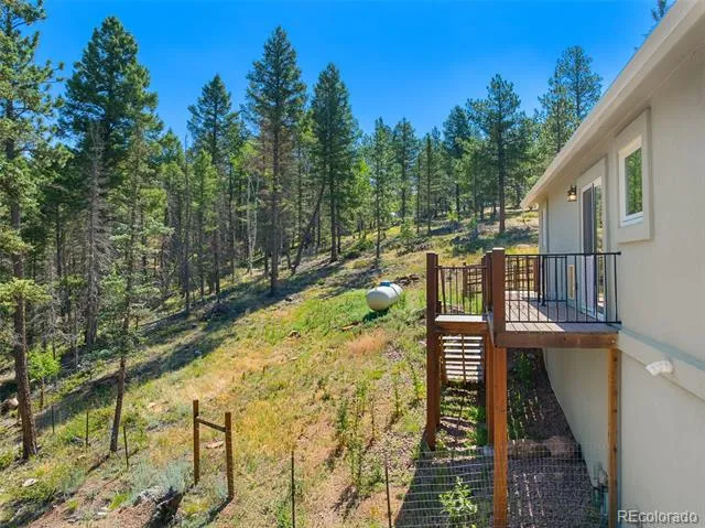 2775 Pathfinder Road Florissant, CO 80816