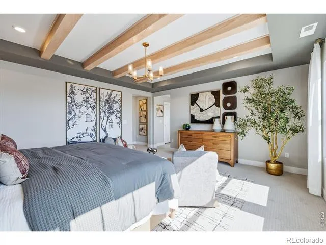 997 Nettle Lane Fort Collins, CO 80524