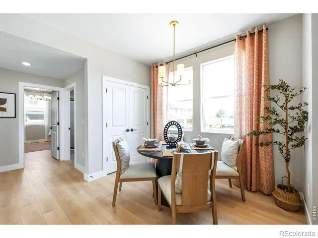 997 Nettle Lane Fort Collins, CO 80524