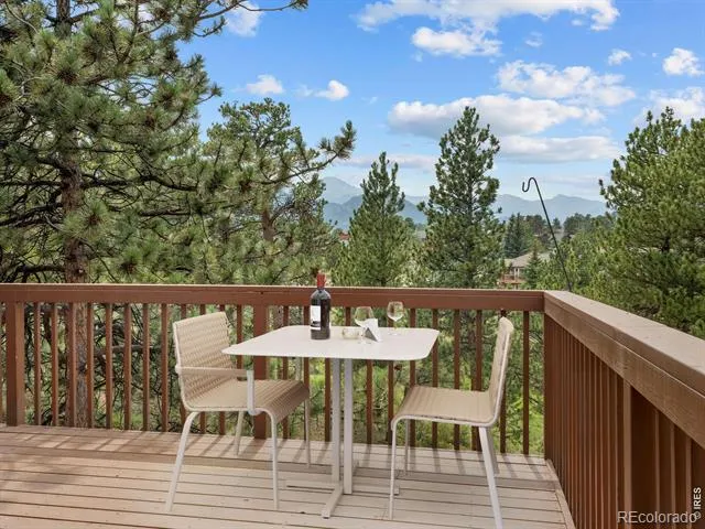 271 Steamer Court Estes Park, CO 80517