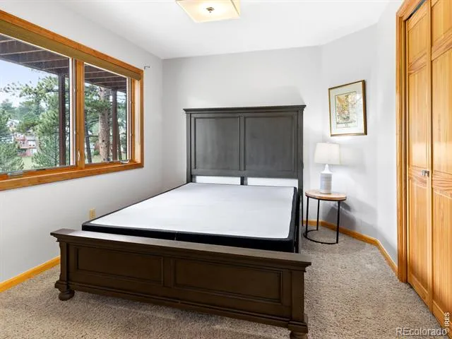 271 Steamer Court Estes Park, CO 80517